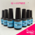 Beauty Factory Top Coat 12+5 Free Wholesale