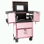 Asteri Premium Collection Pink Trolley Case With Drawer