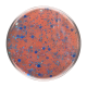 Beauty Factory Gel Colour 100 - Peach with Blue Glitter, 15ml
