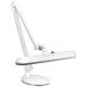 LED Desk lamp with base intensity and white light 