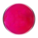 Beauty Factory Gel Colour 336 - Translucent Pink, 15ml