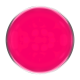 Beauty Factory Gel Colour 340 - Pink, 15ml