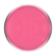 Beauty Factory Gel Colour 76 - Pink, 15ml