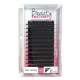Beauty Factory Easy Fanning Lash Tray 0.07 C 12mm