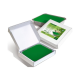 Holiday Paraffin Eucalyptus, 1000ml