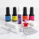 Gel Polish Kit S