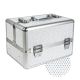 Silver with Cubic Zirconia Case