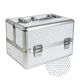 Silver with Cubic Zirconia Case